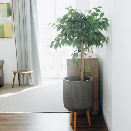 Apartmento Elegante Апартаменты
