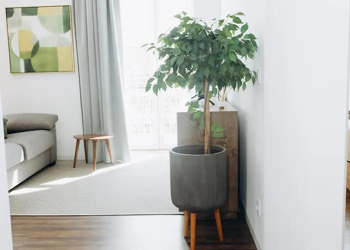 Apartmento Elegante Apartamento