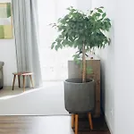 Apartmento Elegante Apartment